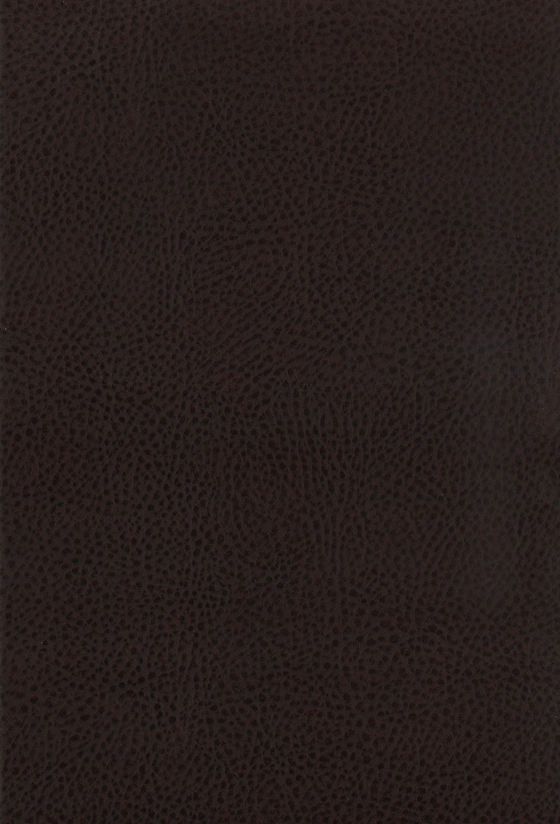 Dewey Upholstered Counter Chair Walnut (Set of 2)
