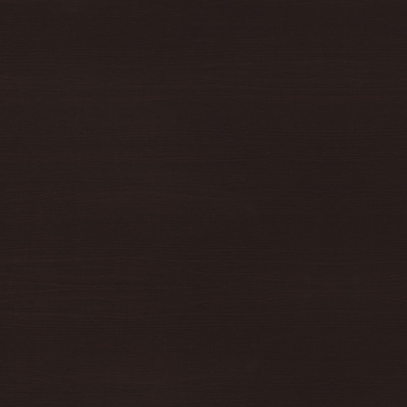 Halston 47-inch 2-drawer Office Desk with Cabinet Cappuccino