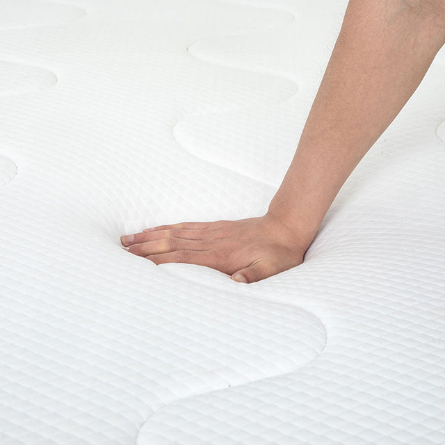 Catmint - 12" Queen Innerspring Mattress