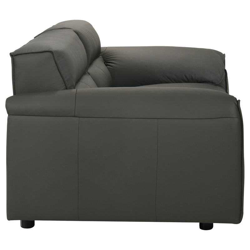 Buxton 2-piece Leather Upholstered Sofa Set Graphite