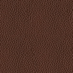 Next Move PWR Recliner/ADJ Headrest