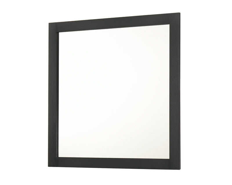 NEMY DRESSER MIRROR