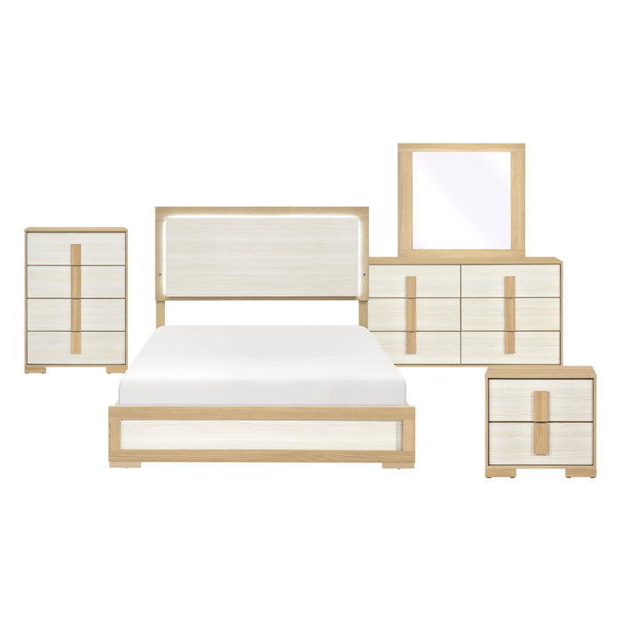 - 5pc Set (QB+NS+DR+MR+CH)