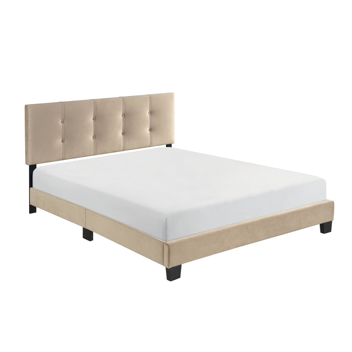Newberry - Queen Platform Bed