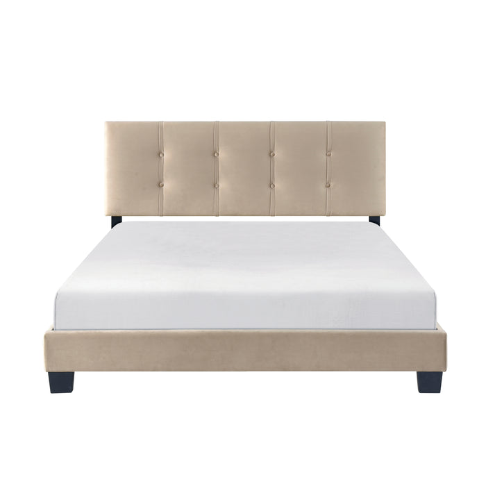 Newberry - Queen Platform Bed