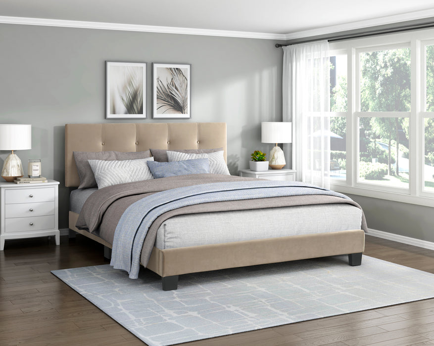Newberry - Queen Platform Bed