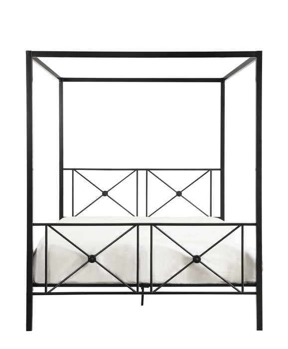 Rapa - Queen Platform Bed