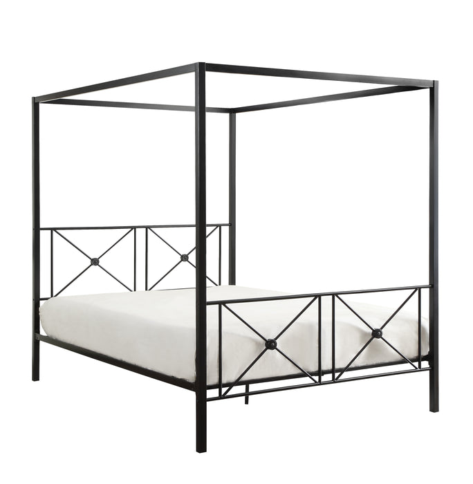 Rapa - Queen Platform Bed
