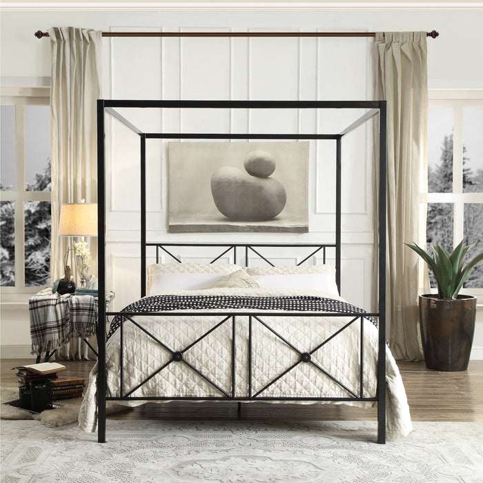 Rapa - Queen Platform Bed