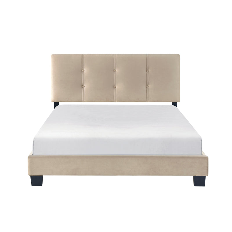 Newberry - Full Platform Bed
