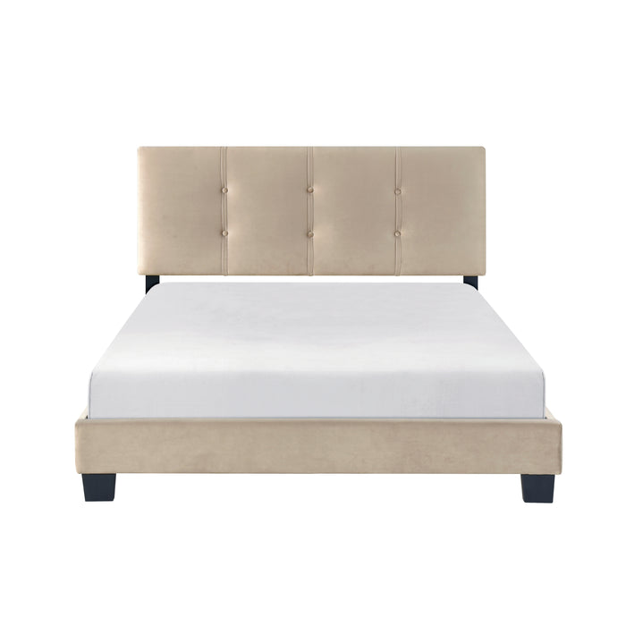 Newberry - Full Platform Bed