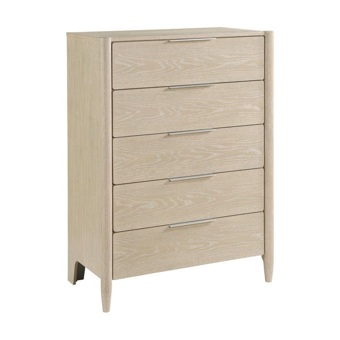 Matteo - Chest