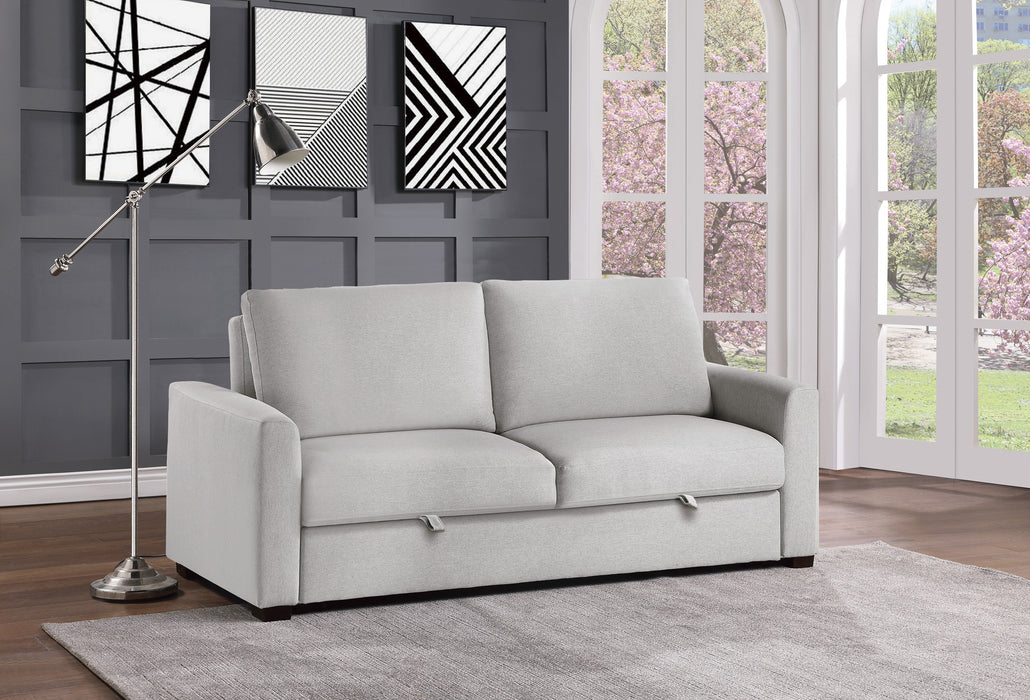 Price - Convertible Studio Sofa with Pull-out Bed
