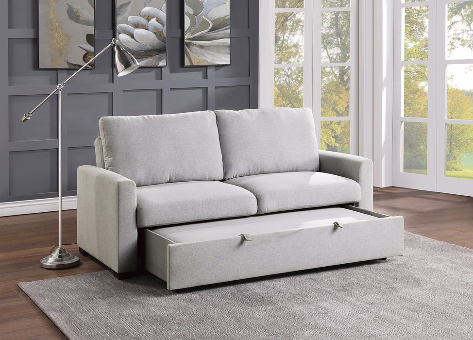 Price - Convertible Studio Sofa with Pull-out Bed