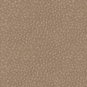 61004/31/46/58/62/77 : 61004S6