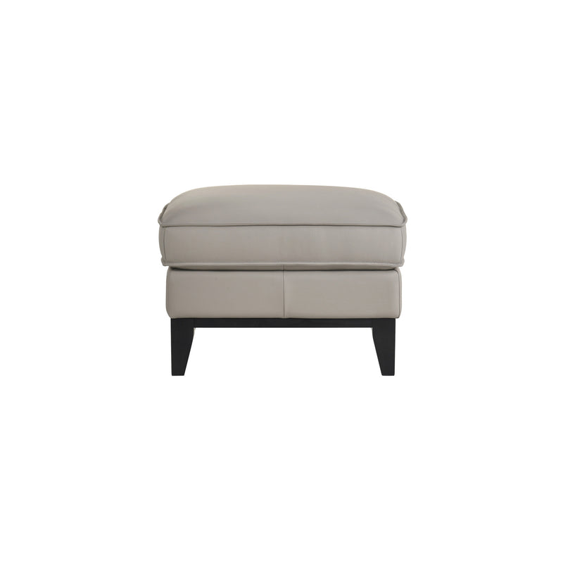 AARON LEATHER OTTOMAN-MIST GRAY