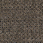 3100538